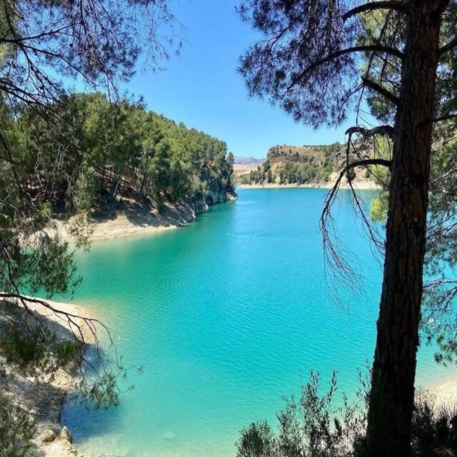 VISIT A NATURAL PARADISE ON THE COSTA DEL SOL!..
El Chorro Reservoir was inaugurated in 1921, and in its centenary year, it became the first inland beach in Andalusia to be awarded the Blue Flag. Located just 600 metres from the Caminito del Rey, it is a prestigious tourist attraction and an ideal location for bathers who want to enjoy a day surrounded by nature. You can opt for a pleasant swim in its crystal-clear waters or enjoy its different corners by renting pedal boats, canoes or padel boards. The reservoir boasts spectacular scenery and viewpoints, making it the perfect place for a picnic in a unique and tranquil environment. More places to discover on the Costa del Sol can be found by following this page @costadelsolscene #reservoir #naturalparadise #costadelsol