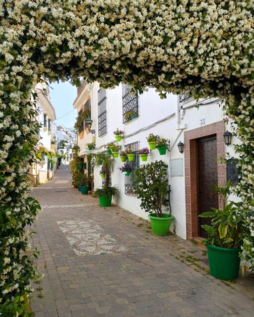 EXPLORE THE CHARMING OLD TOWN OF ESTEPONA!..
Estepona is a delightful town located along the coast between Marbella and Gibraltar. Its picturesque old quarters is an enchanting blend of history, art, urban nature, and a tranquil lifestyle. Ideal for a leisurely stroll, soaking up the atmosphere, discovering the street art, and enjoying the local gastronomy. The narrow pedestrian streets are lined with white facades and adorned with hanging plants, bougainvillea, and colourful patios. The best place to start your discovery is in Plaza de las Flores, which leads you on to Calle Real, and then on to streets like Calle Villa, Calle Sevilla, Calle Damas, Pasaje de María Cintrano, and Calle Sirena to discover many other hidden corners.
More places to visit on the Costa del Sol can be found by following this page @costadelsolscene @estepona_turismo #estepona #costadelsol #oldtown