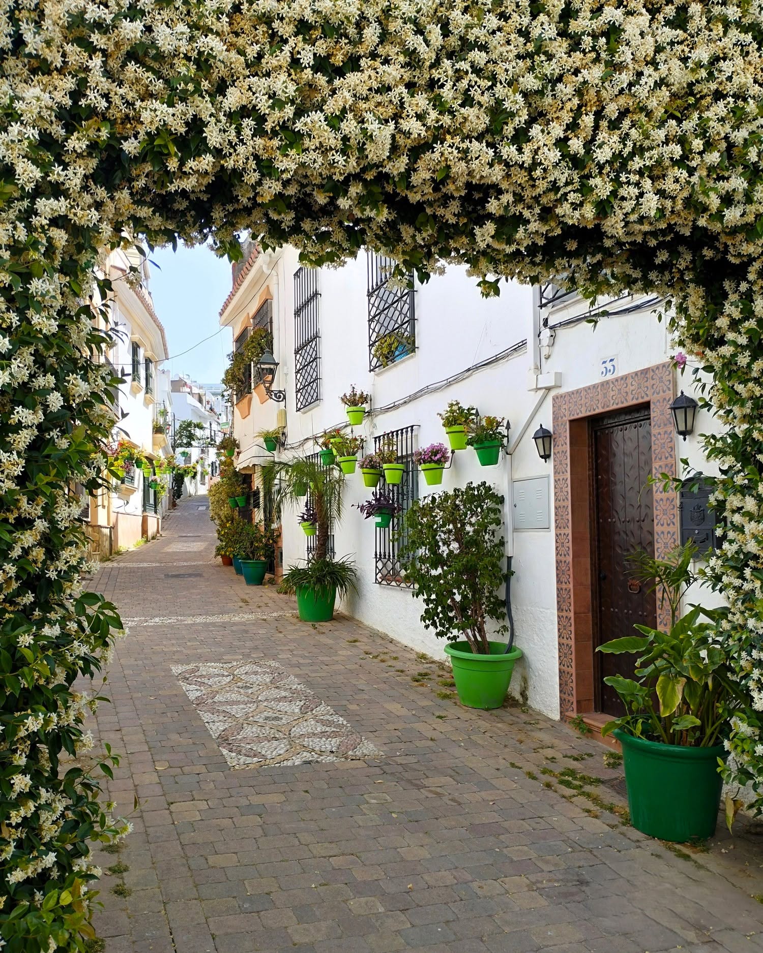 EXPLORE THE CHARMING OLD TOWN OF ESTEPONA!..
Estepona is a delightful town located along the coast between Marbella and Gibraltar. Its picturesque old quarters is an enchanting blend of history, art, urban nature, and a tranquil lifestyle. Ideal for a leisurely stroll, soaking up the atmosphere, discovering the street art, and enjoying the local gastronomy. The narrow pedestrian streets are lined with white facades and adorned with hanging plants, bougainvillea, and colourful patios. The best place to start your discovery is in Plaza de las Flores, which leads you on to Calle Real, and then on to streets like Calle Villa, Calle Sevilla, Calle Damas, Pasaje de María Cintrano, and Calle Sirena to discover many other hidden corners.
More places to visit on the Costa del Sol can be found by following this page @costadelsolscene @estepona_turismo #estepona #costadelsol #oldtown